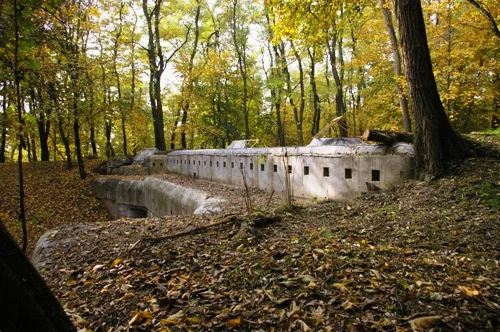 FORT NR 44 TONIE W KRAKOWIE, fot. J. Nowostawska-Gyalókay (MIK, 2013) CC BY SA 3.0